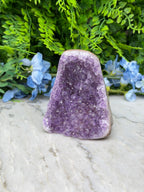 Amethist (Uruguay) cluster cut base (516 gr/10 cm)