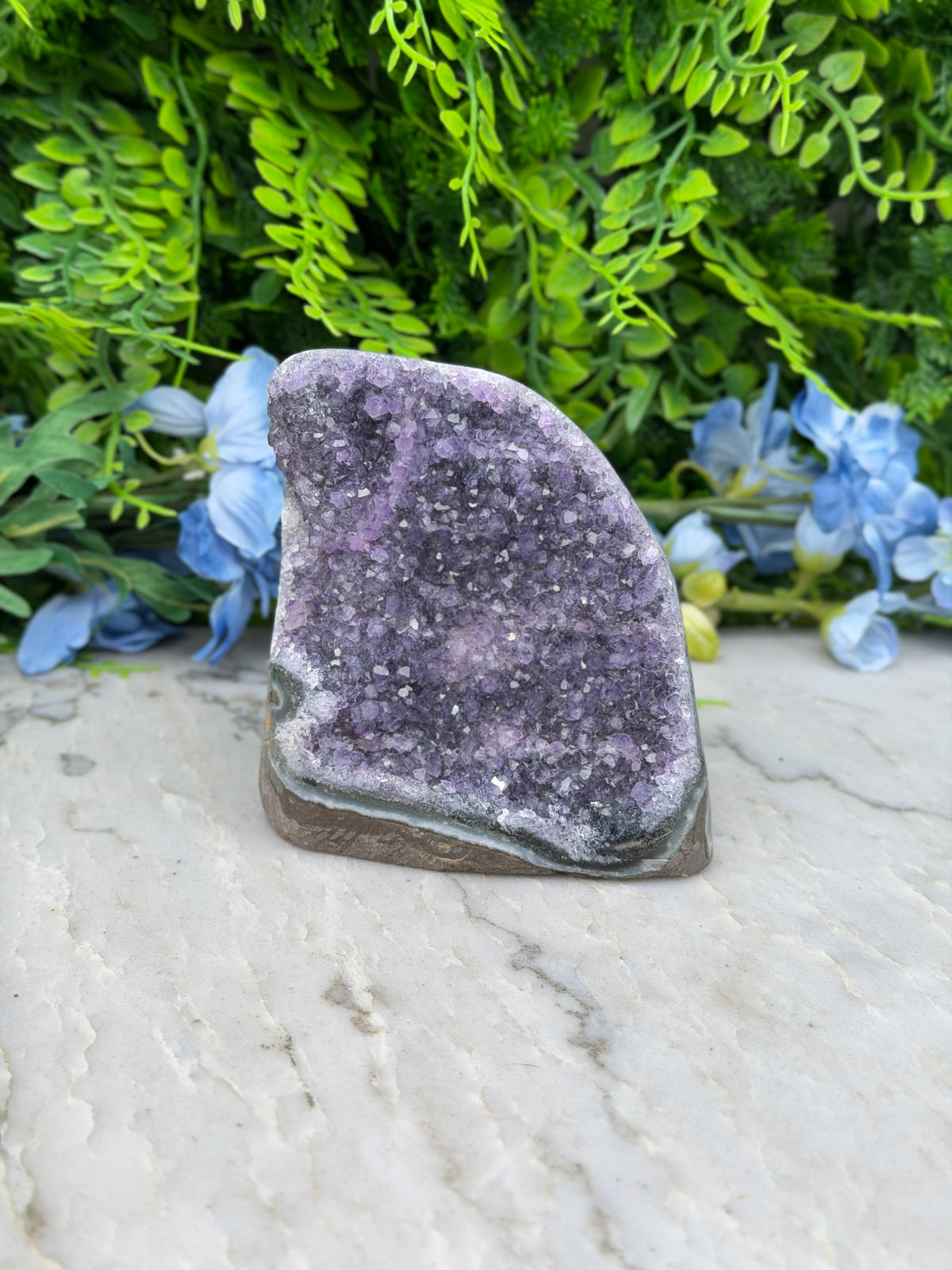 Amethist (Uruguay) cluster cut base (494 gr/9 cm)