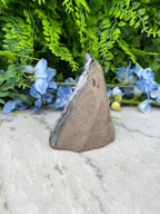 Amethist (Uruguay) cluster cut base (494 gr/9 cm)
