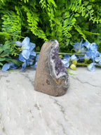 Amethist (Uruguay) cluster cut base (494 gr/9 cm)