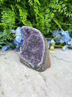 Amethist (Uruguay) cluster cut base (494 gr/9 cm)