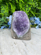 Amethist (Uruguay) cluster cut base (720 gr/11 cm)