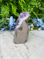 Amethist (Uruguay) cluster cut base (720 gr/11 cm)