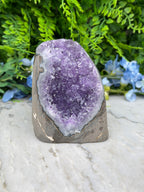 Amethist (Uruguay) cluster cut base (720 gr/11 cm)