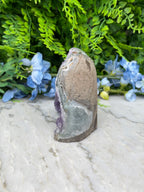 Amethyst (Uruguay) cluster-cut base (508 gr/10 cm)