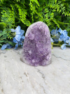 Amethist (Uruguay) cluster cut base (678 gr/10 cm)