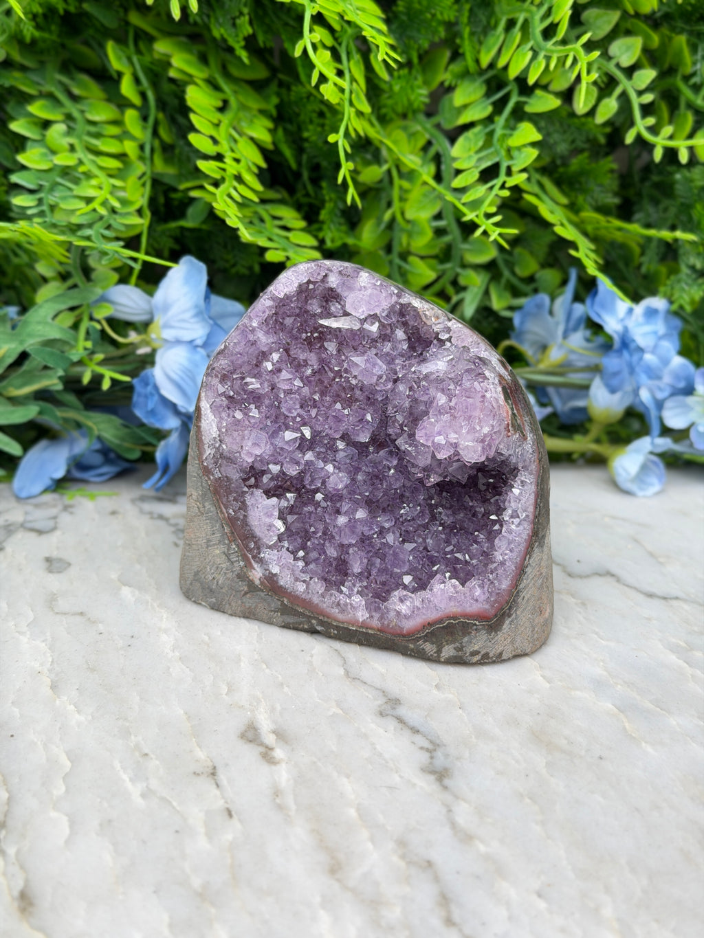 Amethist (Uruguay) cluster speciale formatie cut base (784 gr/10 cm)