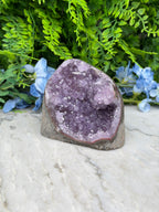Amethist (Uruguay) cluster speciale formatie cut base (784 gr/10 cm)