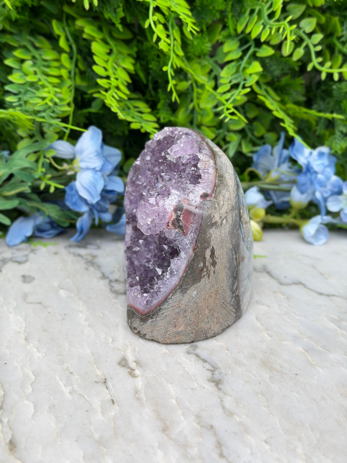 Amethist (Uruguay) cluster speciale formatie cut base (784 gr/10 cm)
