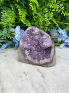 Amethist (Uruguay) cluster speciale formatie cut base (784 gr/10 cm)