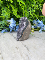Amethist (Uruguay) cluster cut base (496 gr/10 cm)