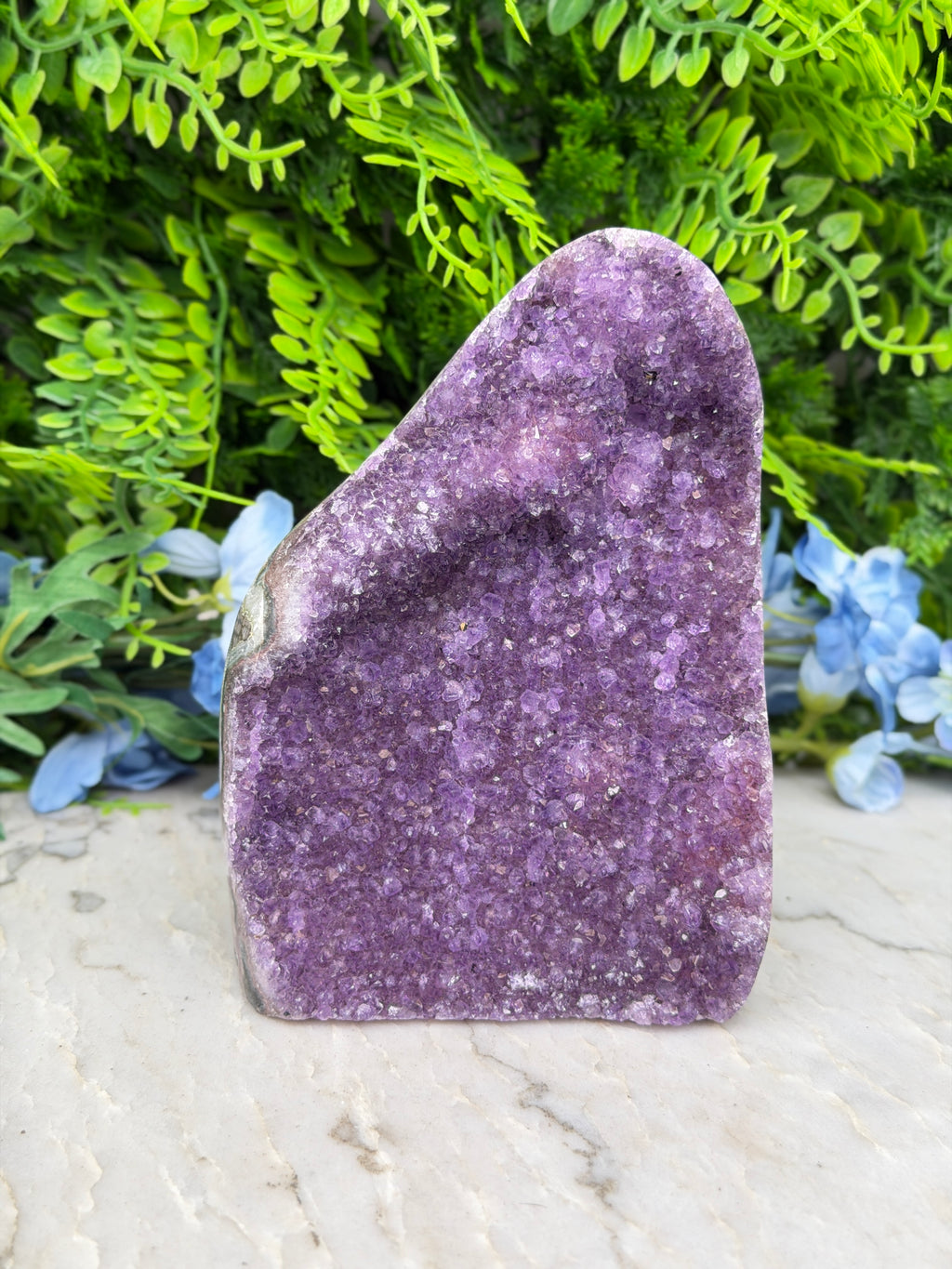 Amethist (Uruguay) cluster cut base (1262 gr/14 cm)