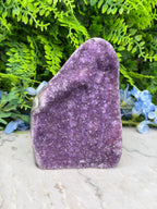 Amethist (Uruguay) cluster cut base (1262 gr/14 cm)
