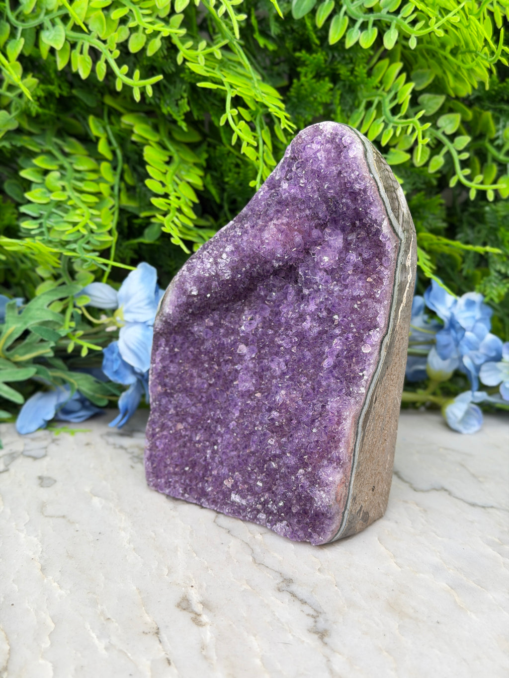 Amethist (Uruguay) cluster cut base (1262 gr/14 cm)