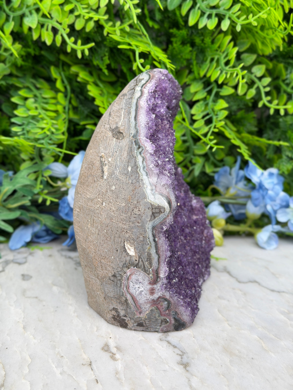 Amethist (Uruguay) cluster cut base (1262 gr/14 cm)
