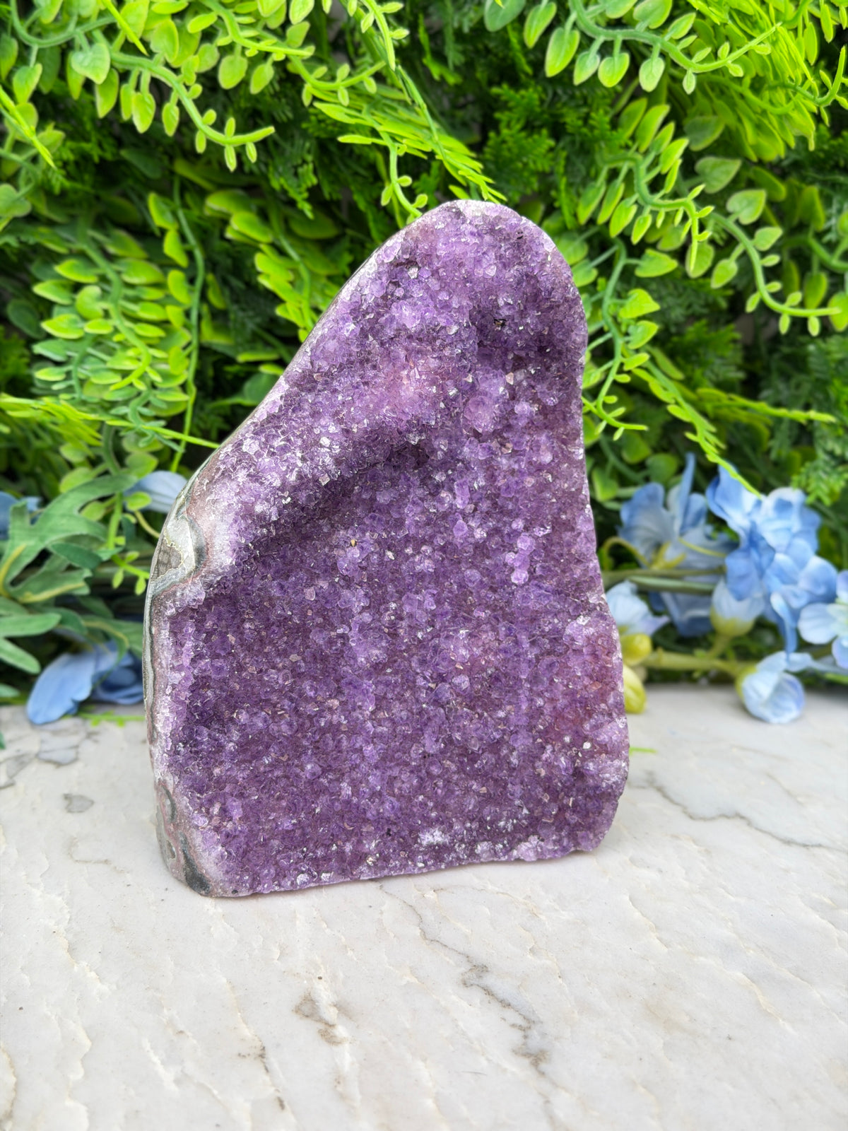 Amethist (Uruguay) cluster cut base (1262 gr/14 cm)