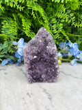 Amethist (Uruguay) cluster cut base (684 gr/11 cm)