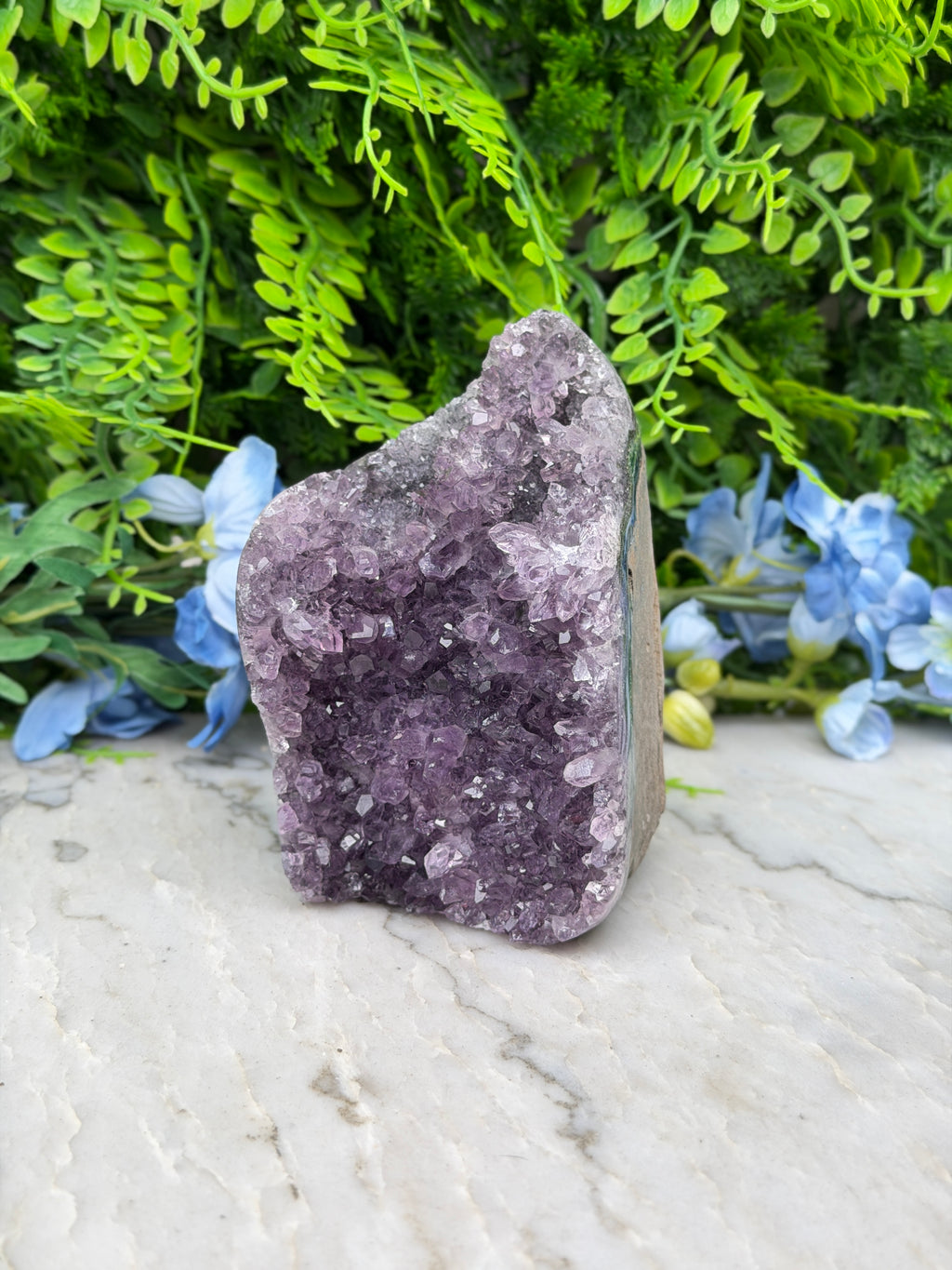 Amethist (Uruguay) cluster cut base (684 gr/11 cm)