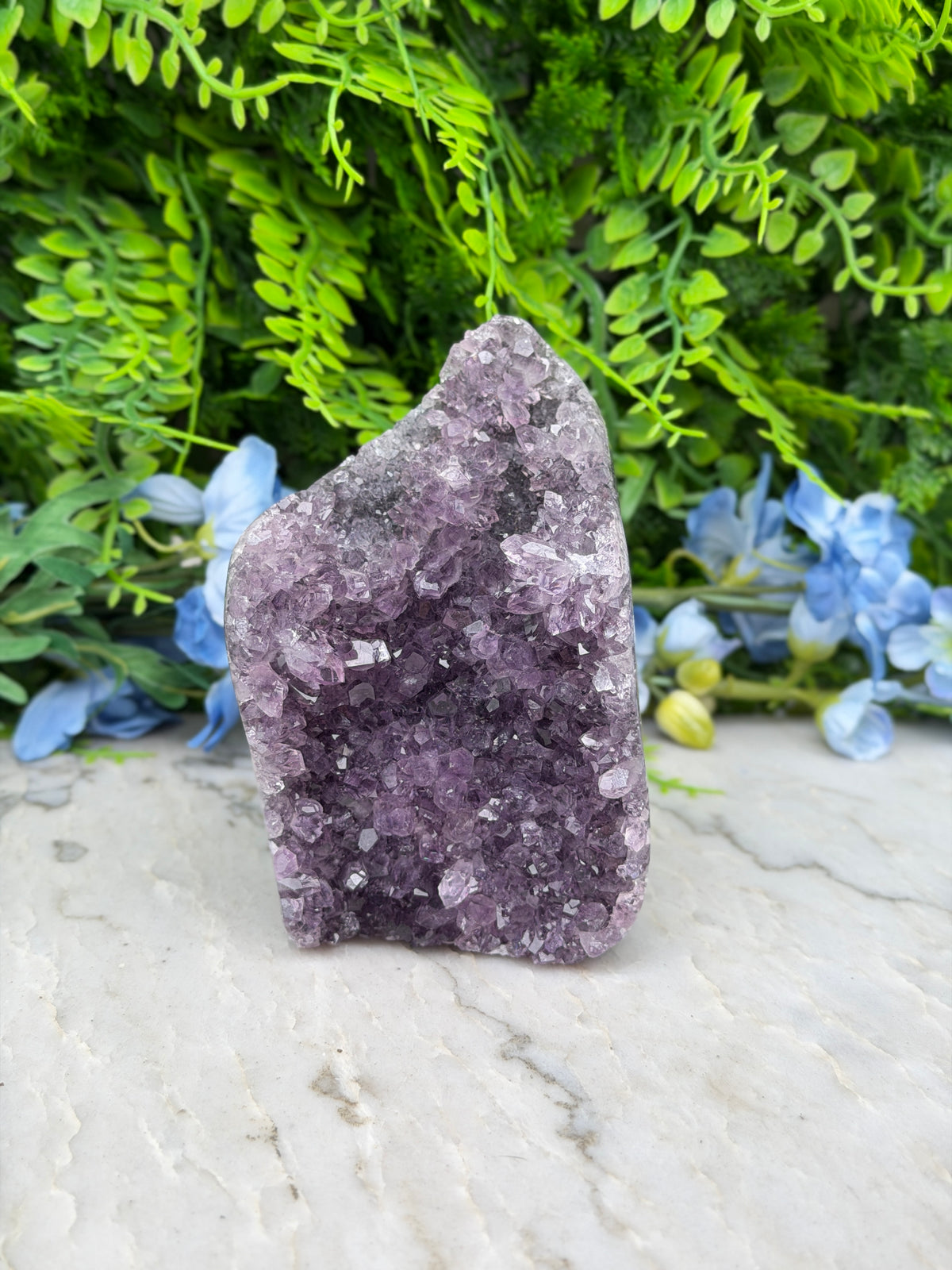 Amethist (Uruguay) cluster cut base (684 gr/11 cm)
