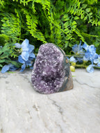 Amethist (Uruguay) cluster cut base (568 gr/8 cm)