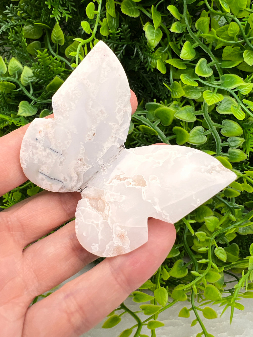 Witte Pluim Agaat 3D-vlinder