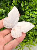 Witte Pluim Agaat 3D-vlinder