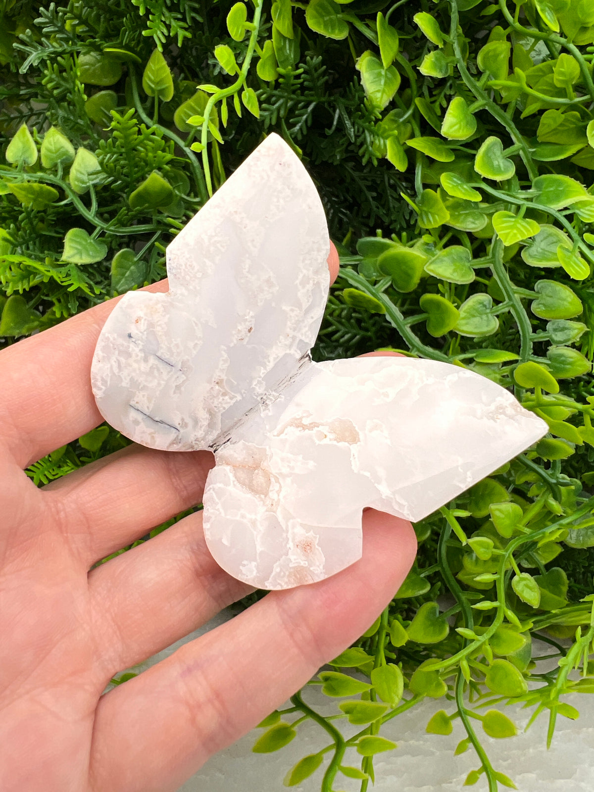 Witte Pluim Agaat 3D-vlinder