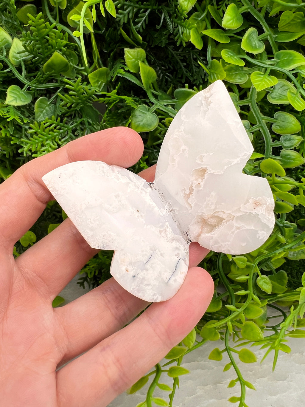 Witte Pluim Agaat 3D-vlinder