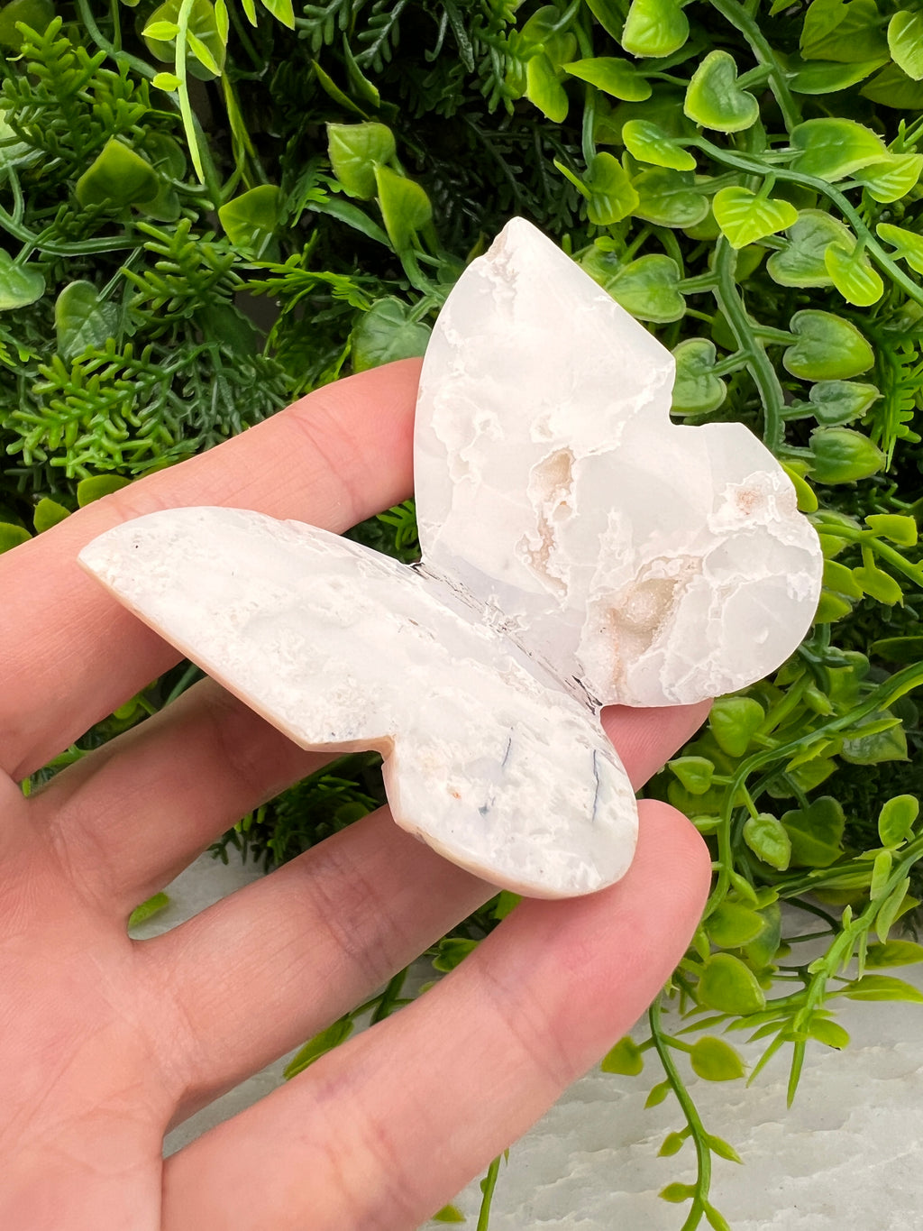 Witte Pluim Agaat 3D-vlinder
