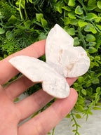 Witte Pluim Agaat 3D-vlinder