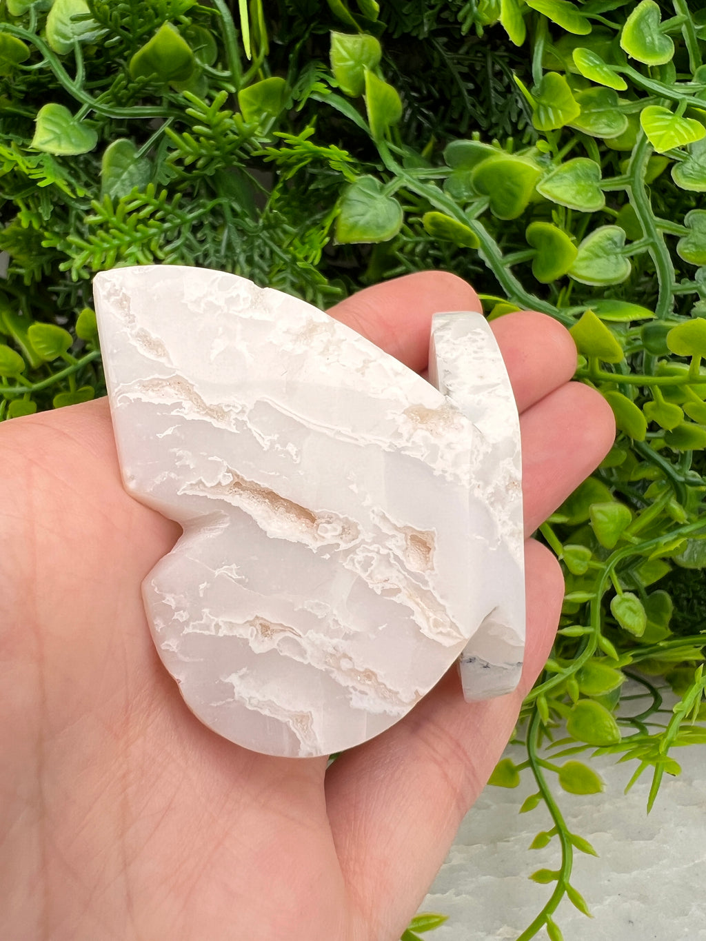 Witte Pluim Agaat 3D-vlinder