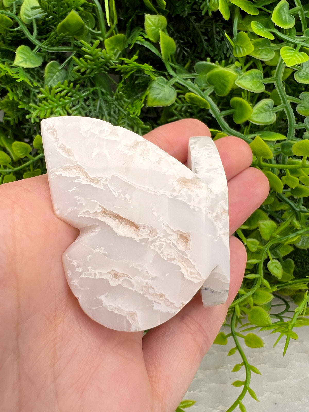 Witte Pluim Agaat 3D-vlinder