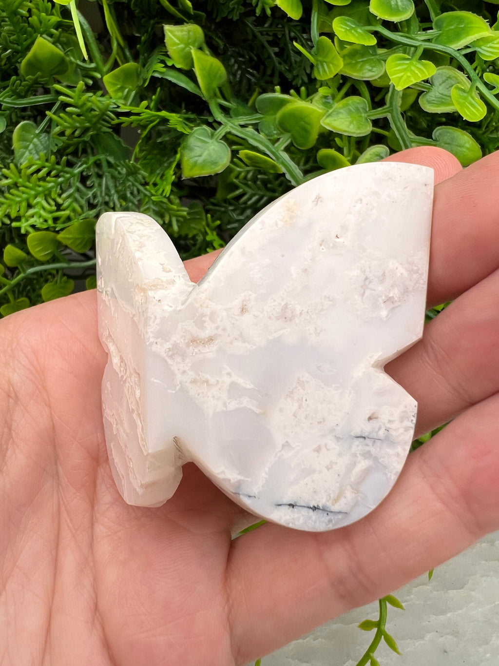 Witte Pluim Agaat 3D-vlinder