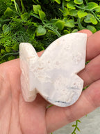 Witte Pluim Agaat 3D-vlinder