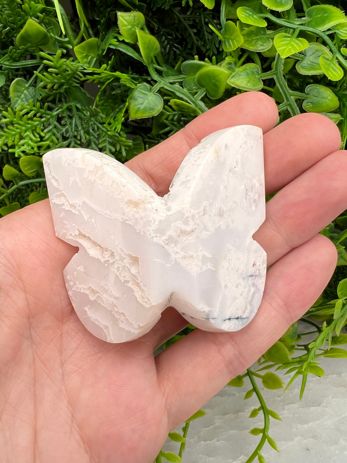 Witte Pluim Agaat 3D-vlinder