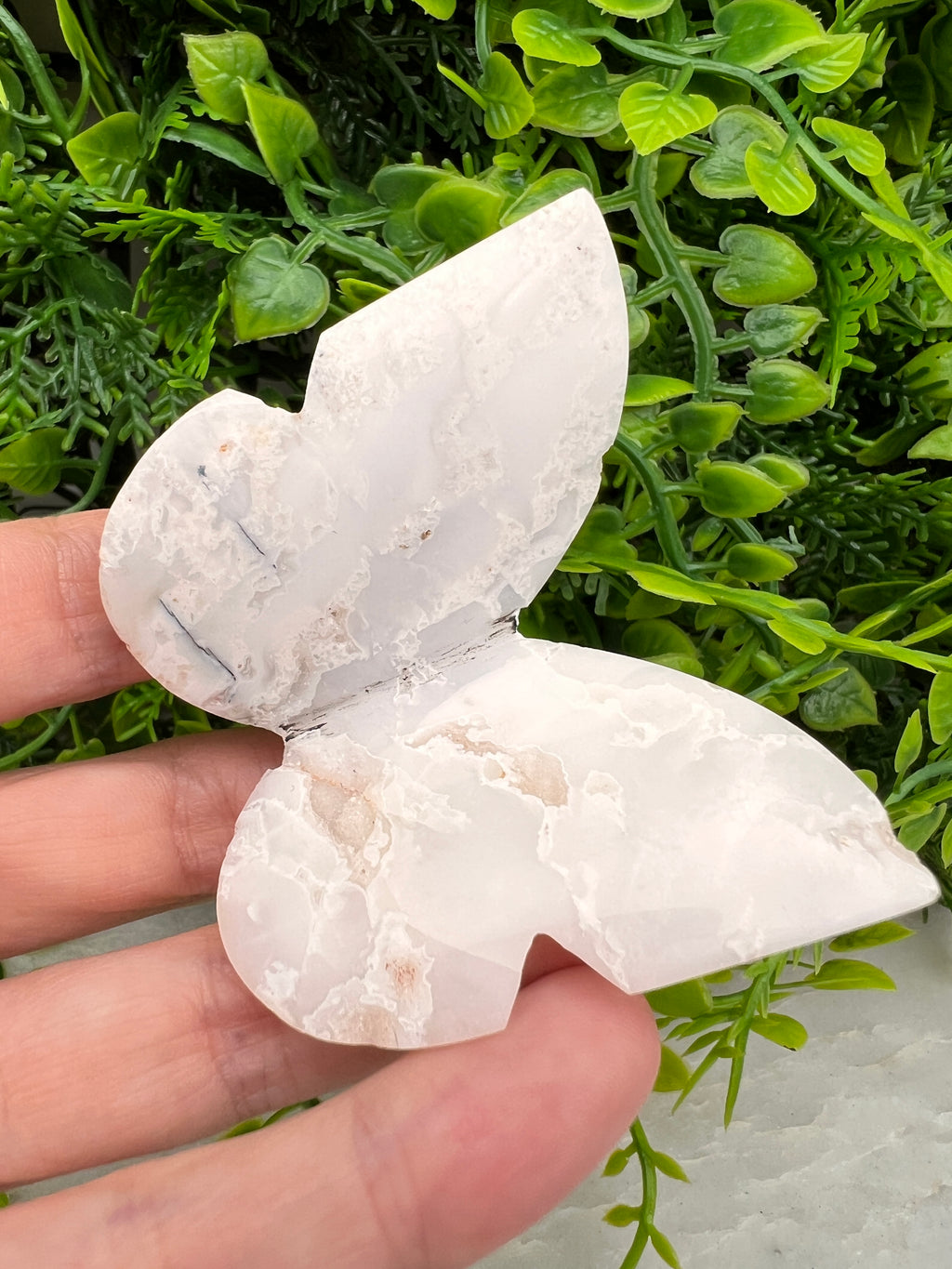 Witte Pluim Agaat 3D-vlinder