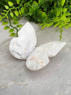 Witte Pluim Agaat 3D-vlinder