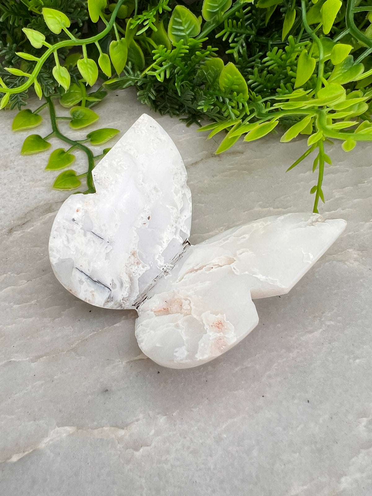 Witte Pluim Agaat 3D-vlinder