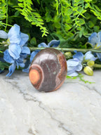 a brown and orange rock with a circular pattern, placed on a white marble surface. The rock is surrounded by blue flowers and green foliage, creating a visually appealing and natural setting.