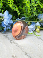 a large, oval-shaped rock with a unique, striped pattern, surrounded by blue flowers and green foliage.