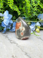a large, irregularly shaped rock with a mix of brown and gray hues, surrounded by a variety of blue and green foliage.