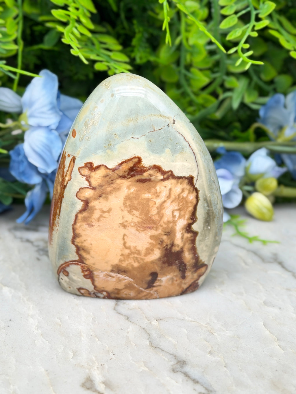 a stone with a unique, textured pattern, surrounded by a lush, green plant and blue flowers.