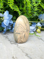 a stone with a unique, striped pattern, surrounded by a variety of blue flowers and green foliage.