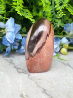 a unique, reddish-brown rock with a dark stripe running through it, placed on a white marble surface. The rock is surrounded by a variety of blue flowers, creating a visually striking contrast.