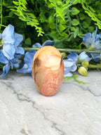 a marble-like stone or rock with a unique, swirling pattern, surrounded by blue flowers and green foliage.