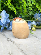 a light brown, oval-shaped object with a red and brown pattern on its surface, placed on a marble surface surrounded by blue flowers.