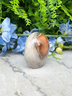 a stone with a unique, irregular shape, surrounded by a variety of blue flowers and green foliage.
