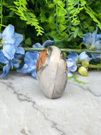 a stone with a unique pattern, surrounded by blue flowers and green foliage.