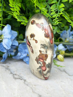 a white, speckled rock with a unique pattern of red and brown spots, placed on a marble surface. The rock is surrounded by blue flowers, creating a visually appealing contrast between the natural and the artificial elements.