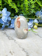 a gray rock with a brown spot on it, placed on a marble surface. The rock is surrounded by blue flowers, creating a visually appealing contrast.